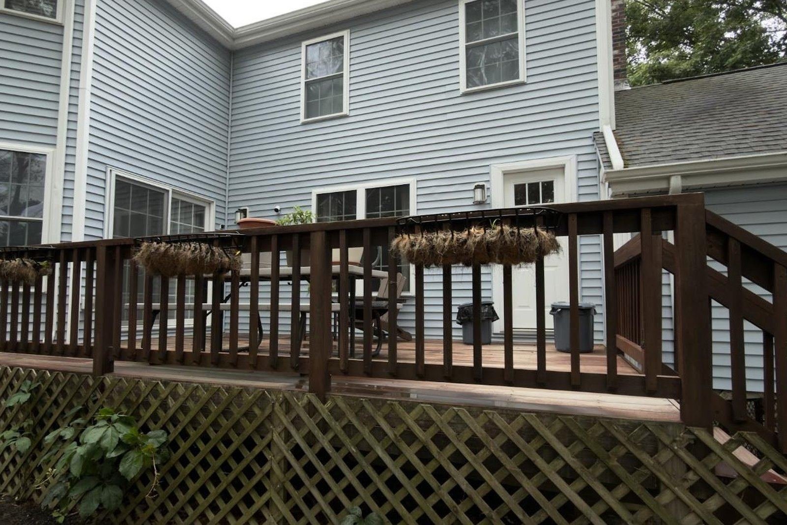 The same backyard deck before restoration, grey and weathered with algae stained lattice